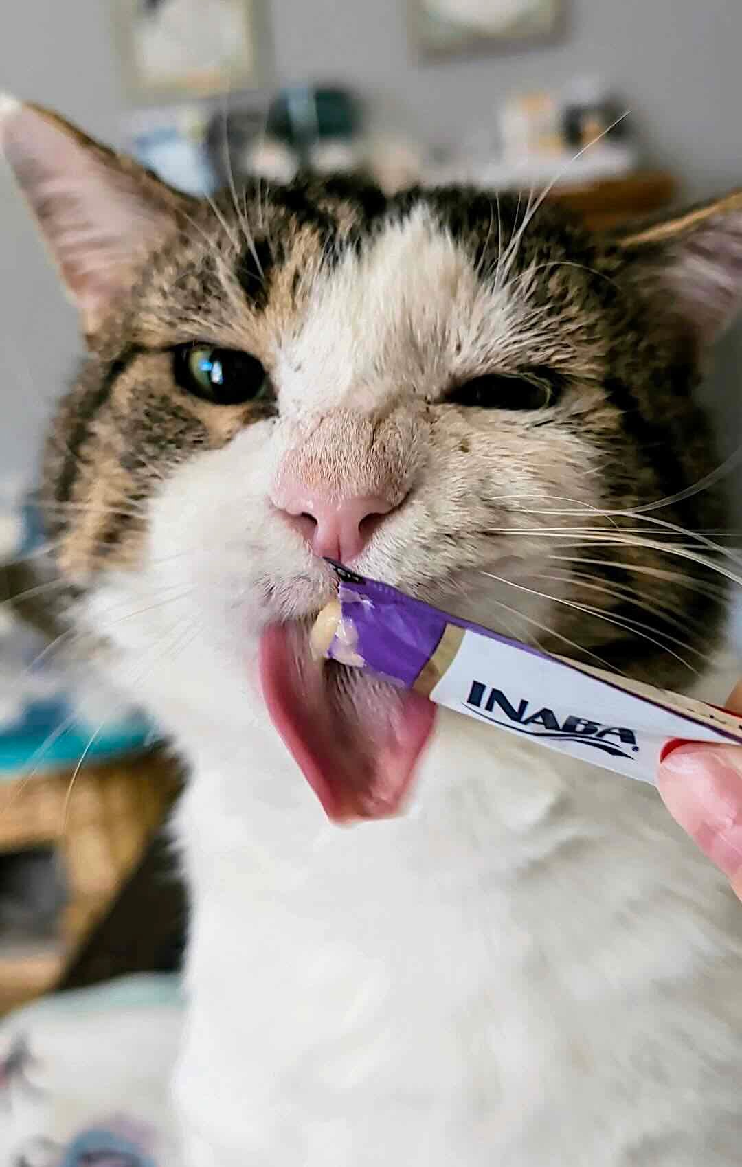 reacher 13 reacher 13