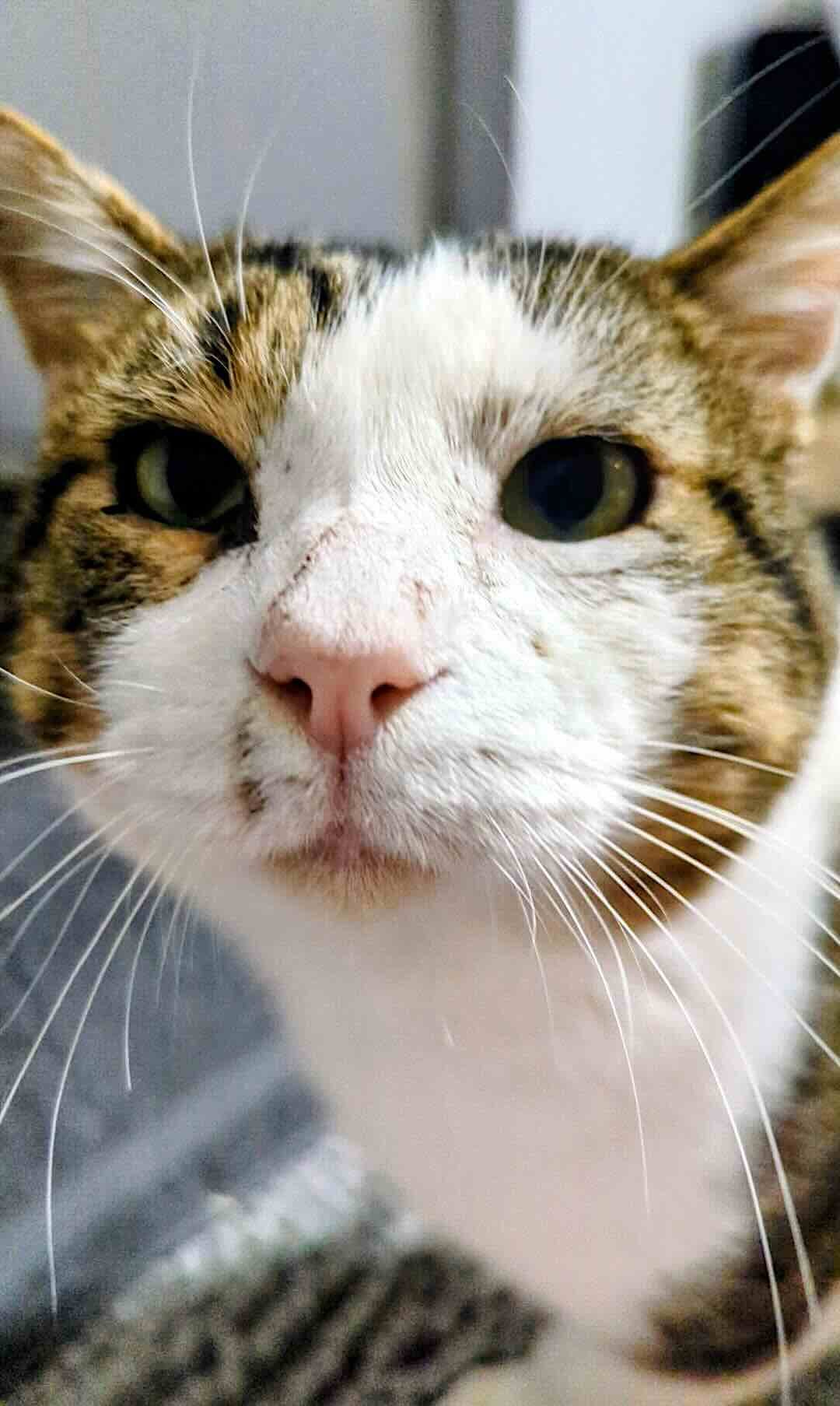 reacher 14 reacher 14