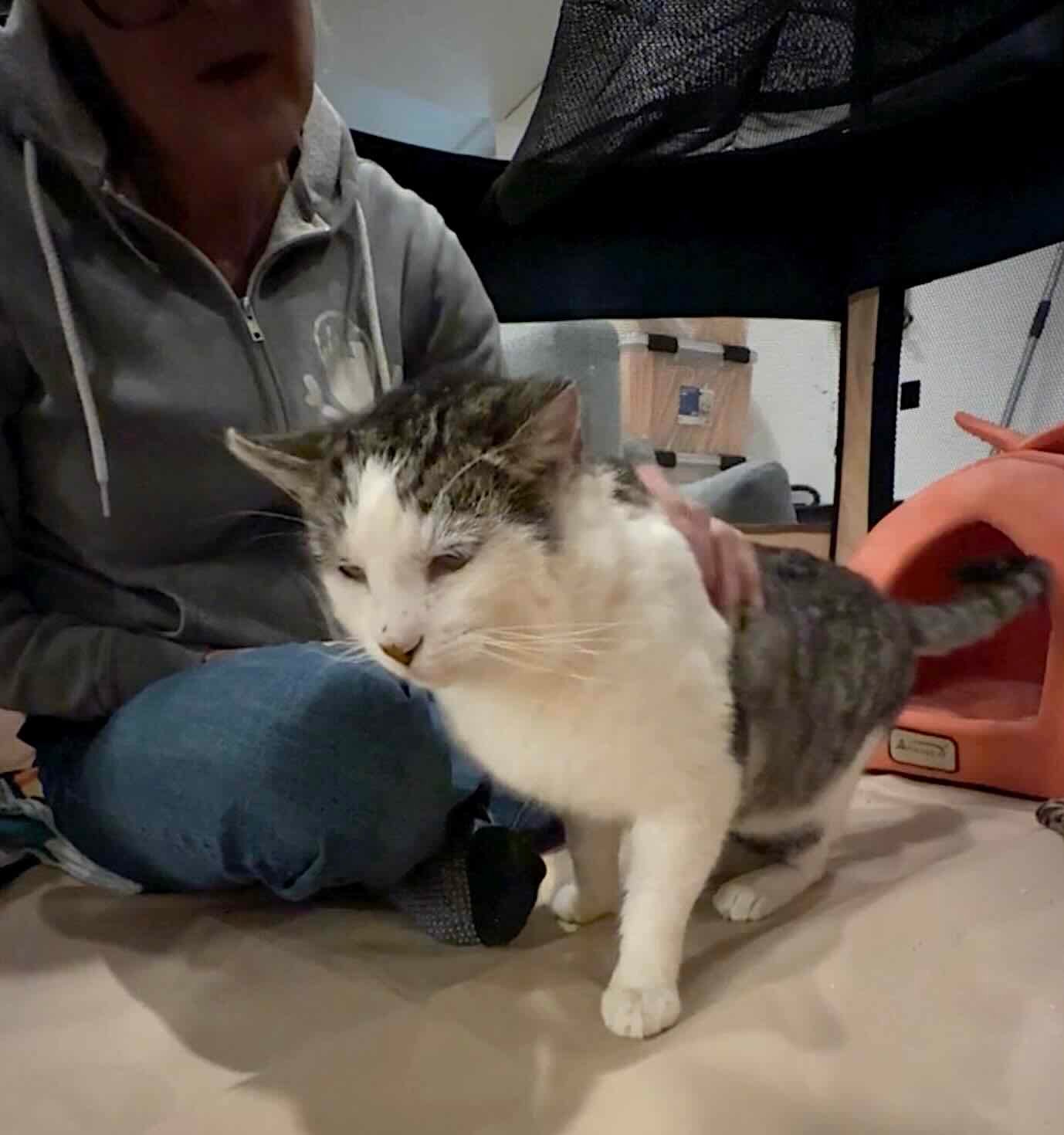 big boi 10 big boi 10