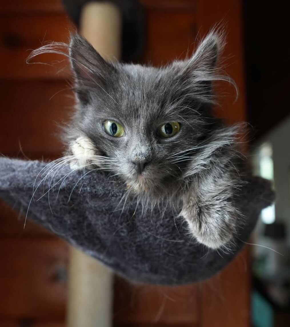 lint 9 lint 9