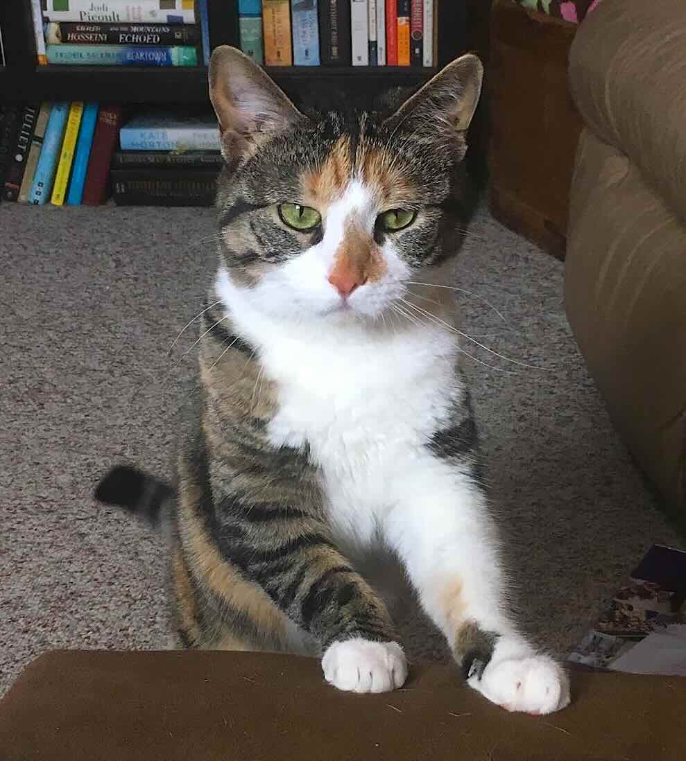 penny 14 penny 14