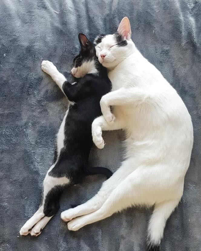 teresita 10 teresita 10