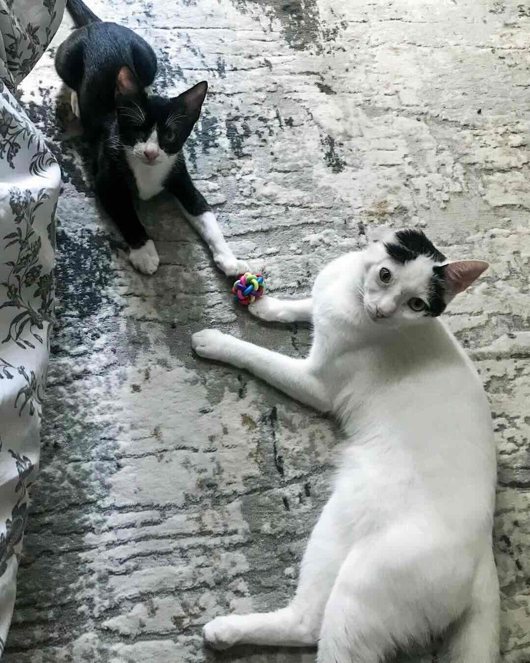 teresita 11 teresita 11