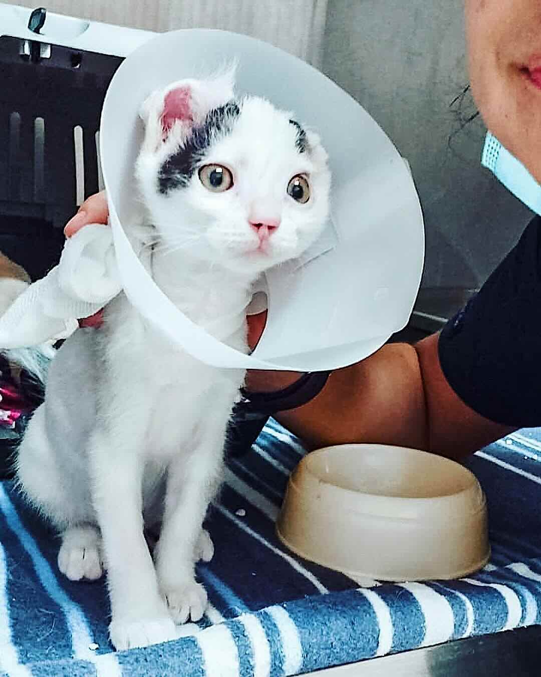 teresita 3 teresita 3
