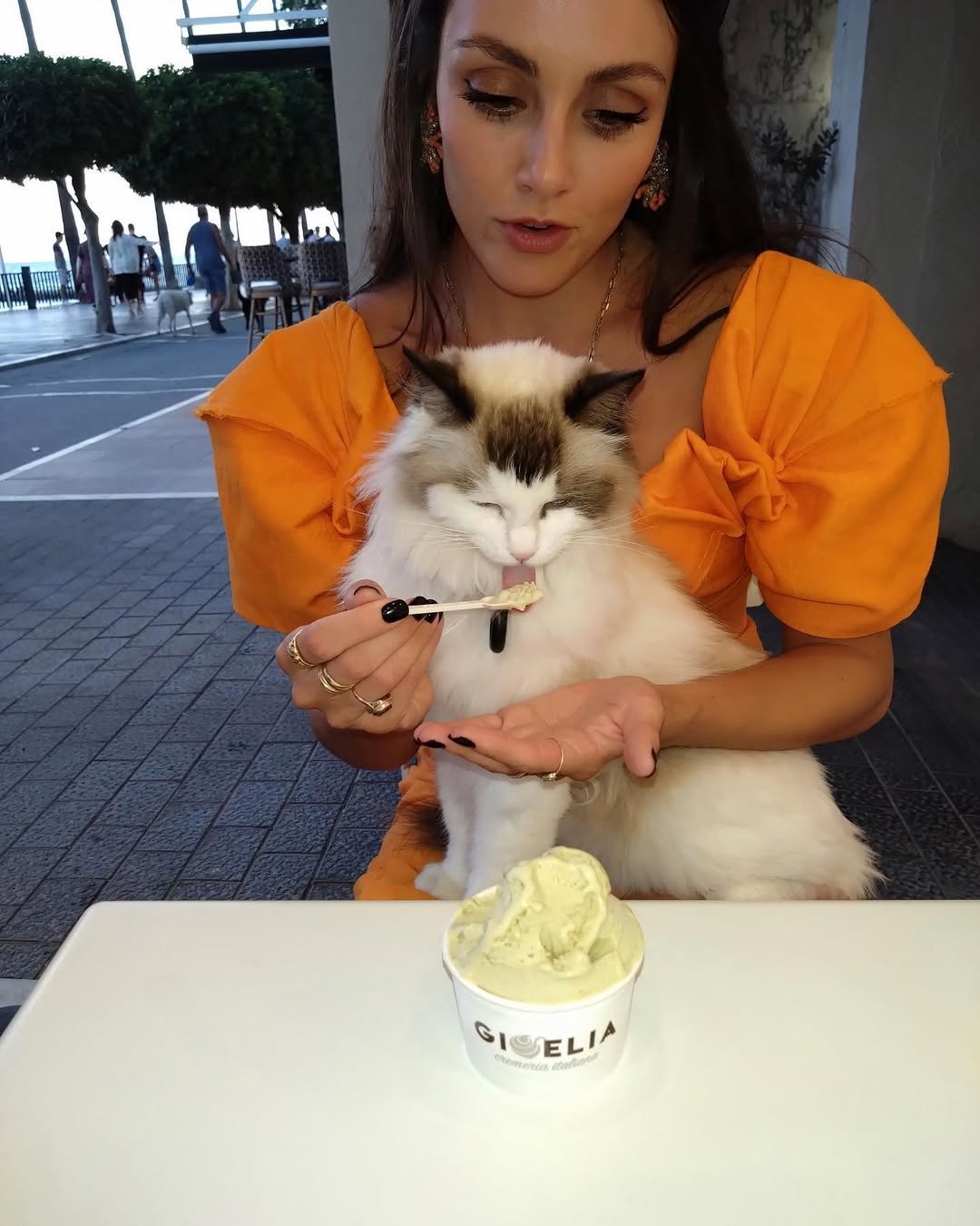elle (7)