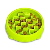 Catstages Kitty Slow Feeder Cat Bowl, Green