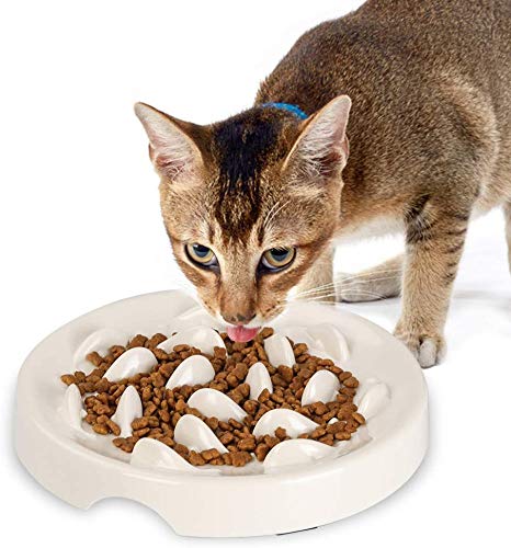 Slow Feeder Cat Bowl,Melamine Fun Interactive Feeder Bloat Stop Puzzle Cat Bowl Preventing Feeder Anti Gulping Healthy Eating Diet Pet Dog Slow Feeding Bowls Against Bloat, Indigestion and Obesity