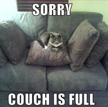 Couch is full