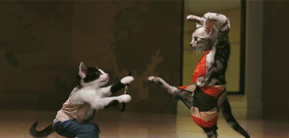Kung Fu Kitties