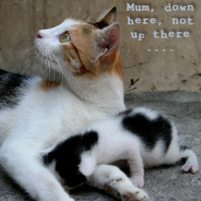 Mum, down here!