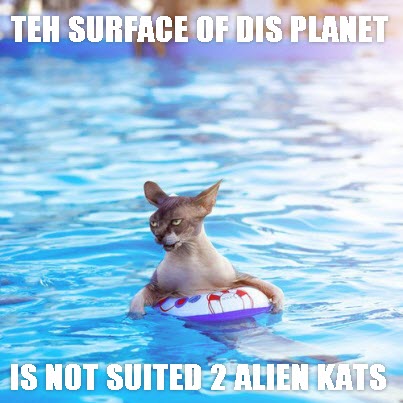 Odd cat in the water