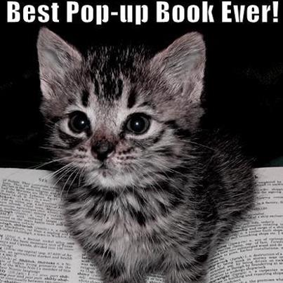 best pop up book ever cat