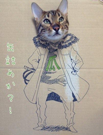 cardboard cat