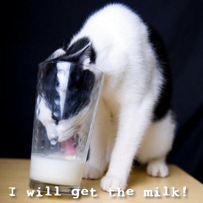 i will get the milk