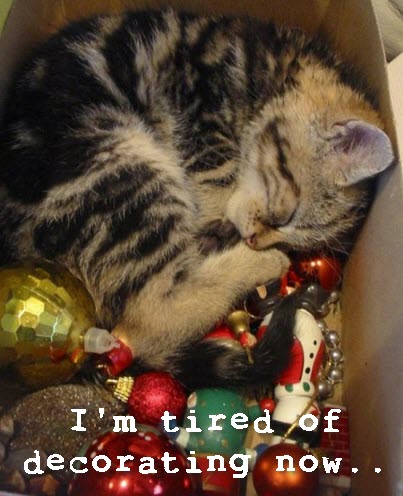 tired of decorating cat