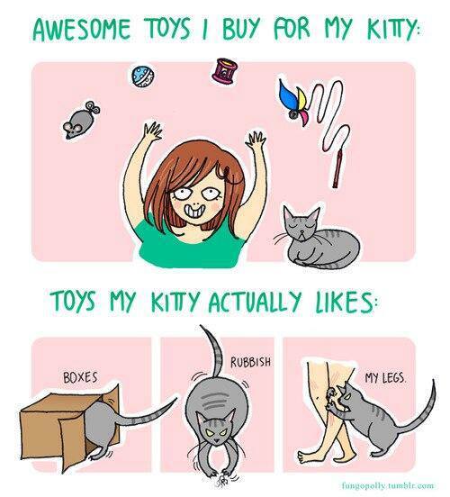 aweome kitty toys