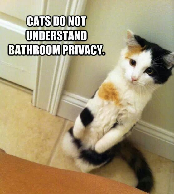 bathroom privacy