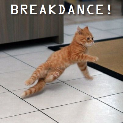 breakdancing cat