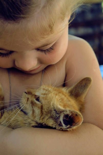 cat and baby