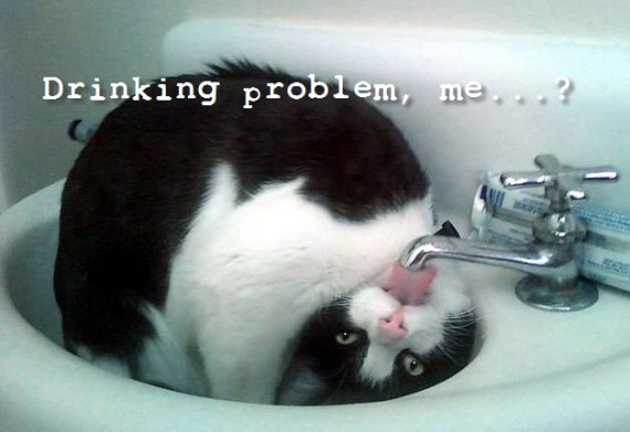 drinking problem