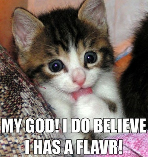 flavour cat