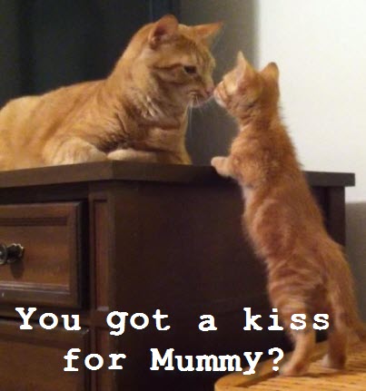 give me a kiss mummy