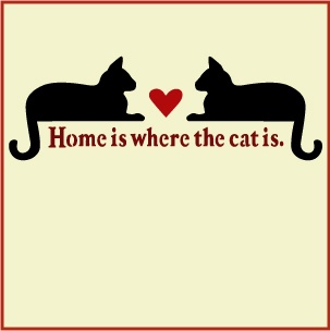 home is where the cat is