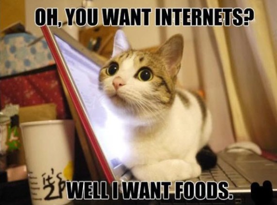 internets cat food