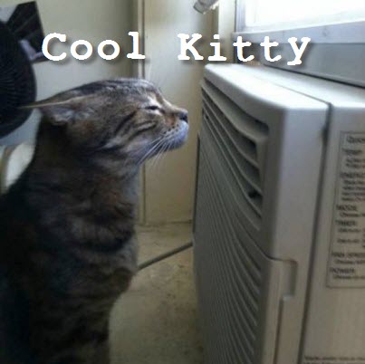 keep cool kitty