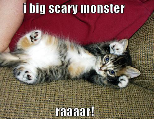 scary kitten