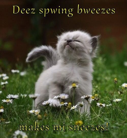 spring breezes