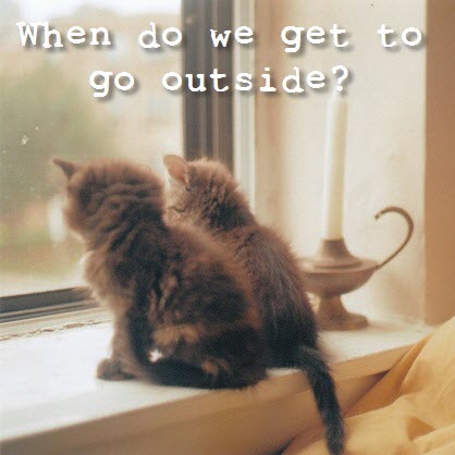 when do we get to go outside
