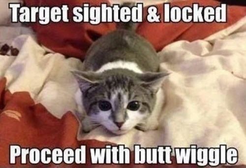 butt wiggle