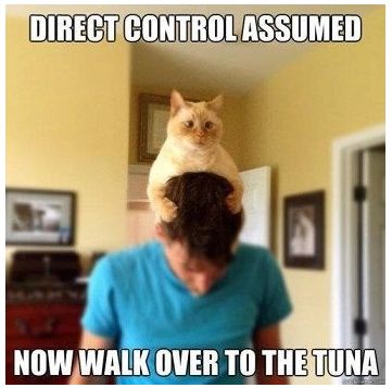 direct control