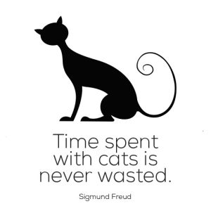 time spent with cats sigmund freud