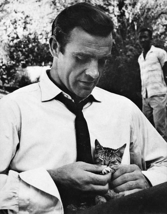 connery dr no cat