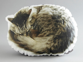 Cat-Pillow