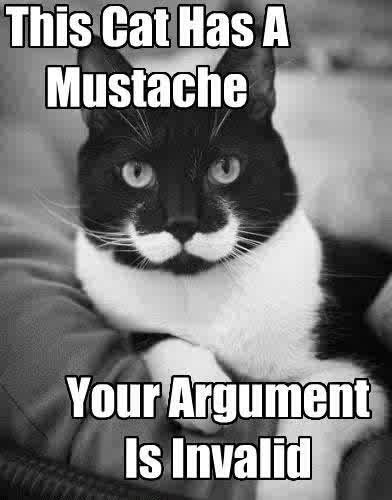cat moustache