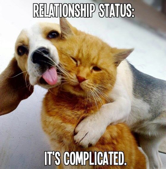 complicated relationships