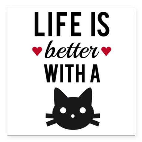 life better with a cat