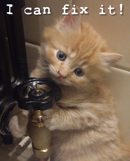 plumber cat can fix it