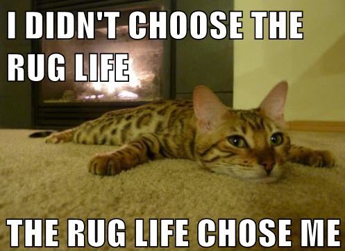 rug life