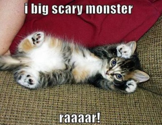 scary kitten
