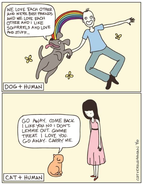 cat and human