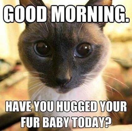 fur baby hug