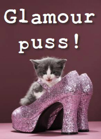glamour puss