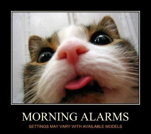 morning alarms