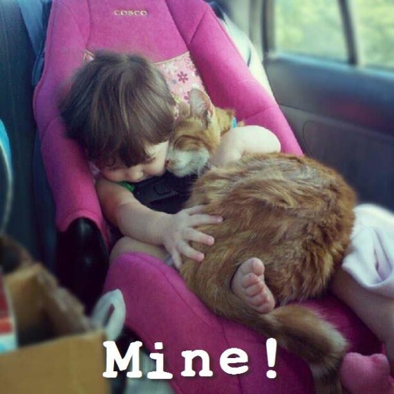 toddler and cat!