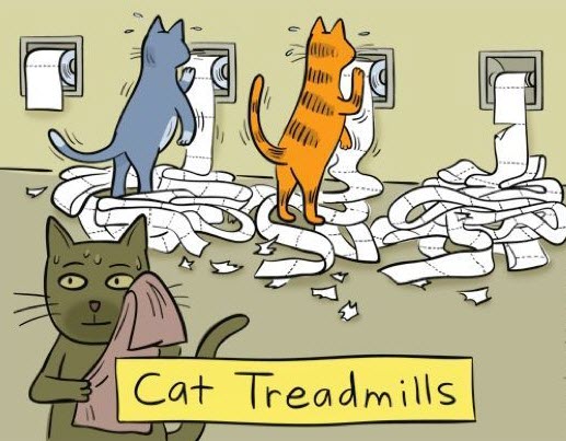 cat treadmills