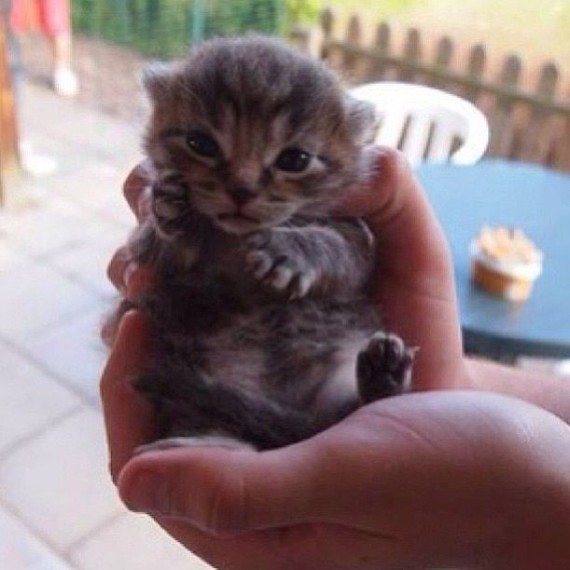 cute handful